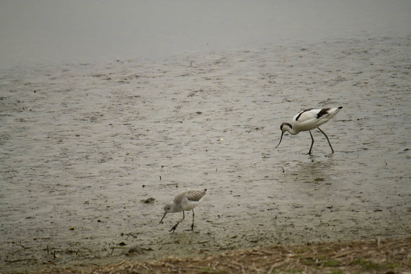 濕地公園 Wetland Park