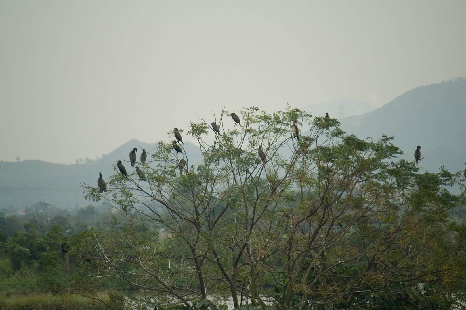 濕地公園 Wetland Park